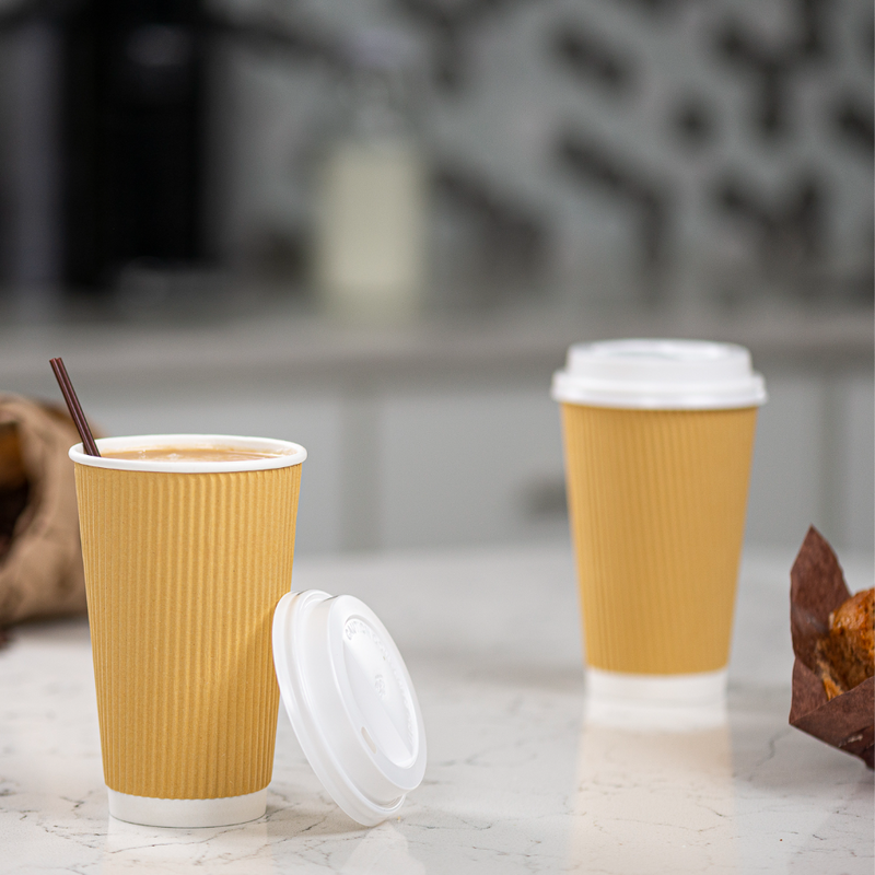 [50 Pack] Disposable Coffee Cups with Lids - 16 oz White Double Wall  Insulated Coffee Cups with Black Dome Lid - Kraft Reusable Coffee Cups with  Lids