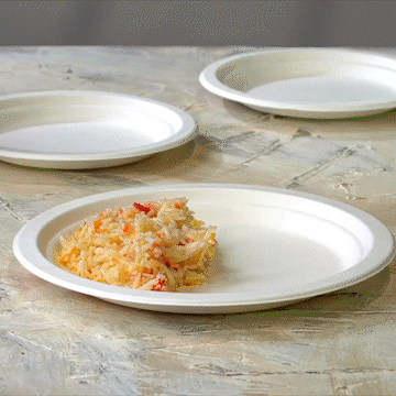 100% Compostable 9 Inch Heavy-Duty Plates Eco-Friendly Disposable Sugarcane Paper Plates