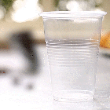 [Case of 1,440] 16 oz. Clear PP Plastic Cups