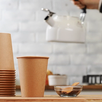 10 oz. Kraft Paper Hot Coffee Cups- Unbleached