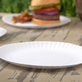 [Case of] 6 Inch Disposable White Uncoated Plates, Decorative Craft Paper Plates