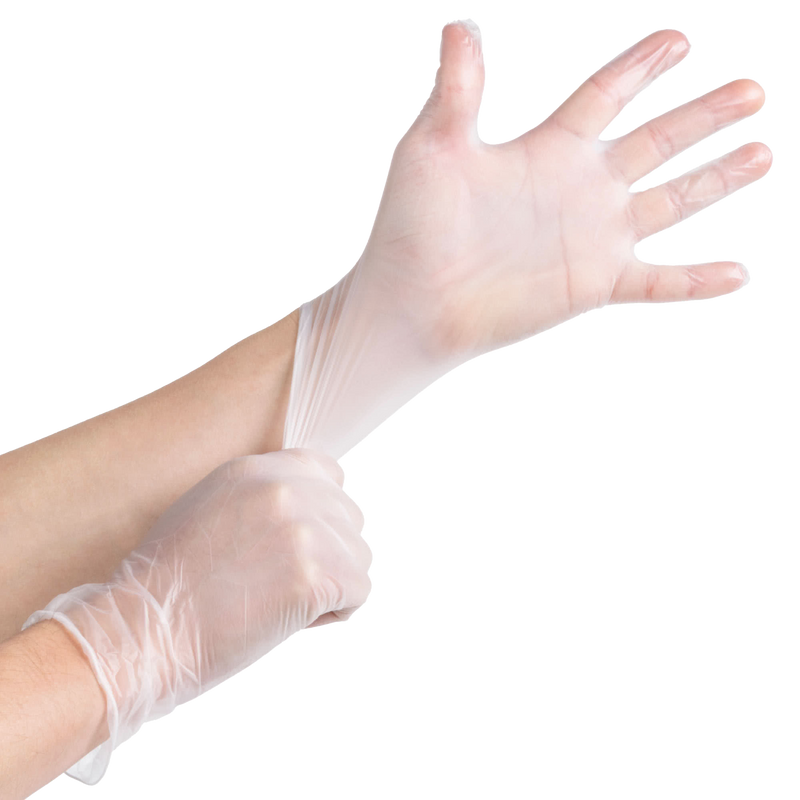 Clear Powder Free Vinyl Disposable Plastic Gloves - Large